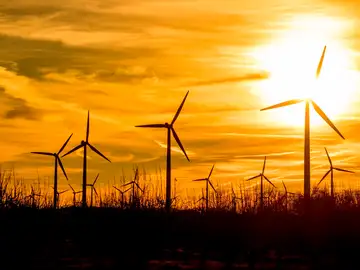 El precio de la luz cae un 10,1%, hasta los 198,47 euros/MWh El precio de la luz cae un 10,1%, hasta los 198,47 euros/MWh