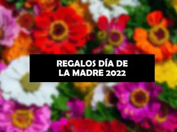 Día de la Madre 2022: Dime cómo es y te diré que flores regalarle Día de la Madre 2022: Dime cómo es y te diré que flores regalarle