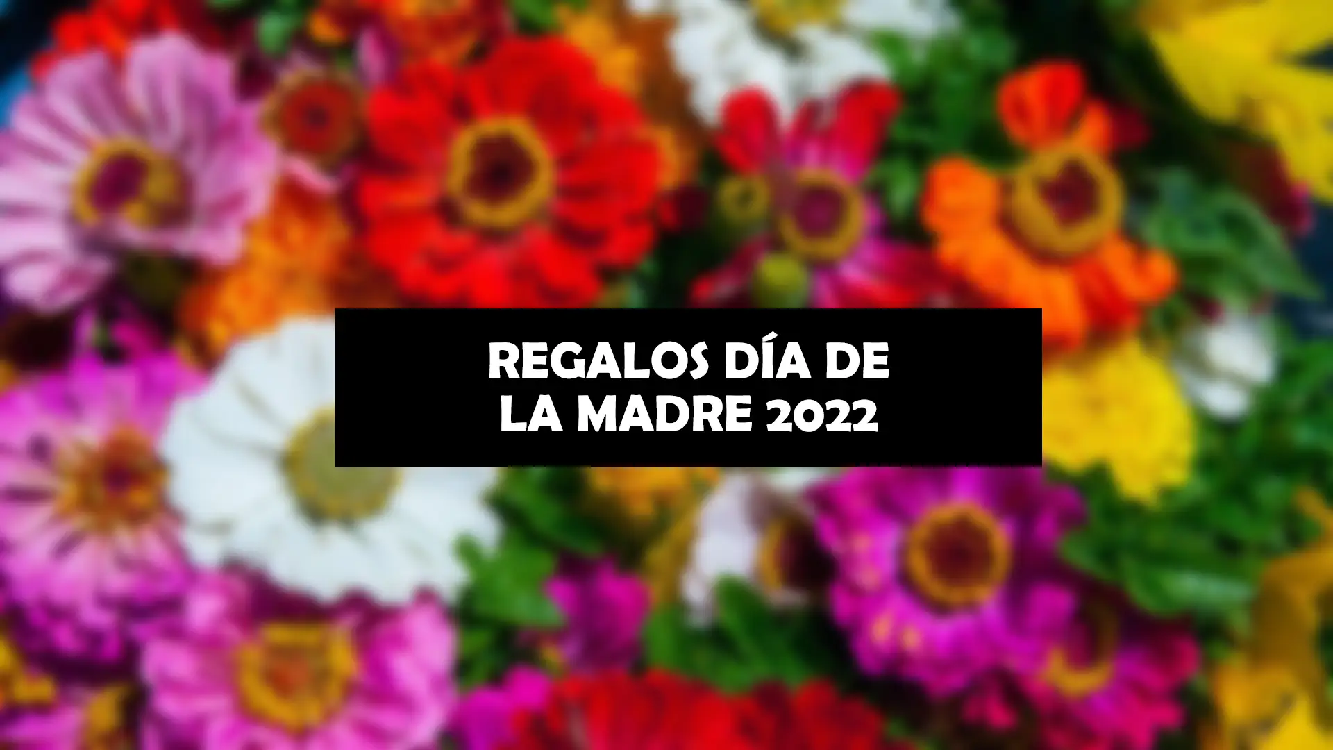 D&iacute;a de la madre