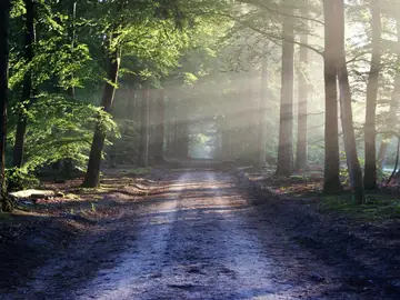 El sorprendente hallazgo de un hombre en un monte que se hace viral en Facebook El sorprendente hallazgo de un hombre en un monte que se hace viral en Facebook