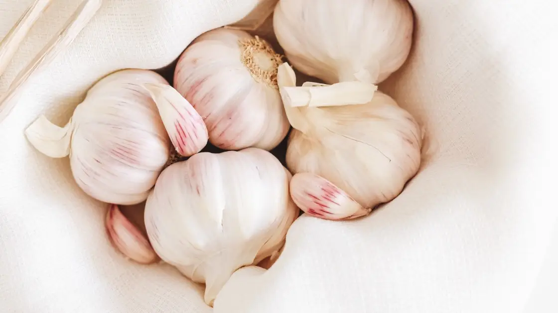 Propiedades y beneficios del ajo Propiedades y beneficios del ajo