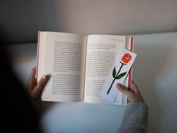 Libro y punto de libro de rosa