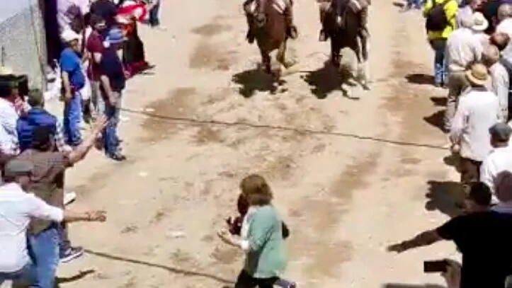 Atropello caballo