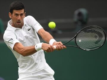 Djokovic podrá jugar Wimbledon 