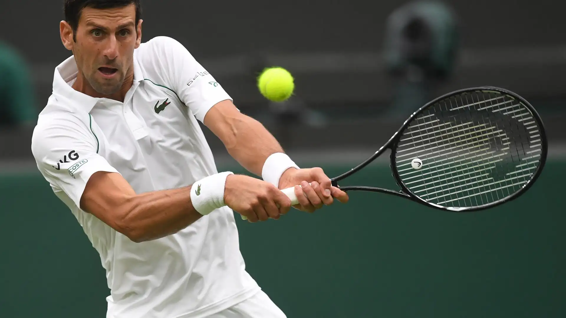 Djokovic podrá jugar Wimbledon Djokovic podrá jugar Wimbledon