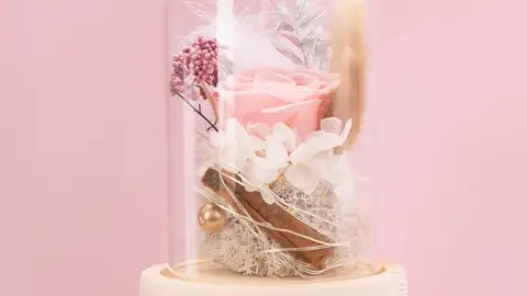 Rosa eterna Rosa eterna