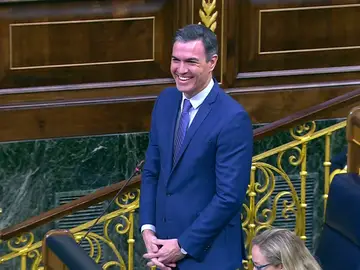 El lápsus de Pedro Sánchez al dirigirse a Rufián en el Congreso
