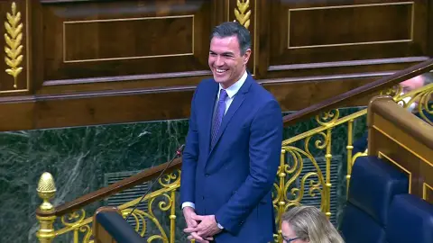 El lápsus de Pedro Sánchez al dirigirse a Rufián en el Congreso El lápsus de Pedro Sánchez al dirigirse a Rufián en el Congreso