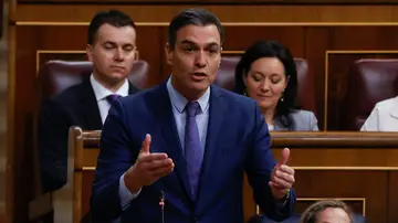 Pedro Sánchez en la sesión de control Pedro Sánchez en la sesión de control