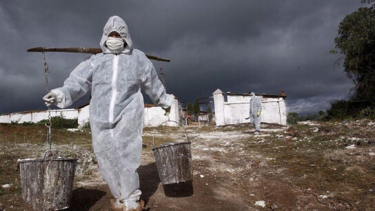 Trabajadores de cuarentena en un lugar tras un brote de la gripe aviar, en una foto de archivo