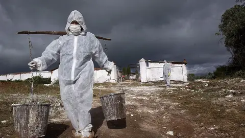 Trabajadores de cuarentena en un lugar tras un brote de la gripe aviar, en una foto de archivo Trabajadores de cuarentena en un lugar tras un brote de la gripe aviar, en una foto de archivo