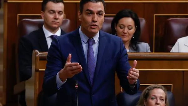Pedro S&aacute;nchez en el Congreso