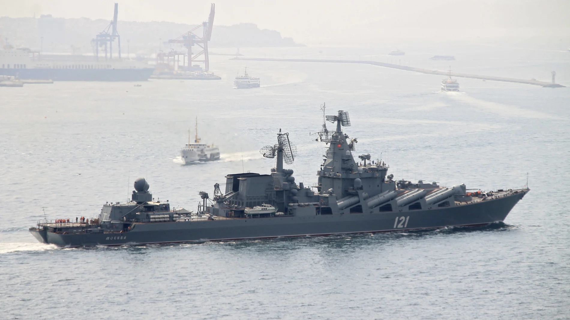 Rusia despliega delfines militares para proteger su flota en Sebastopol de un posible ataque submarino
