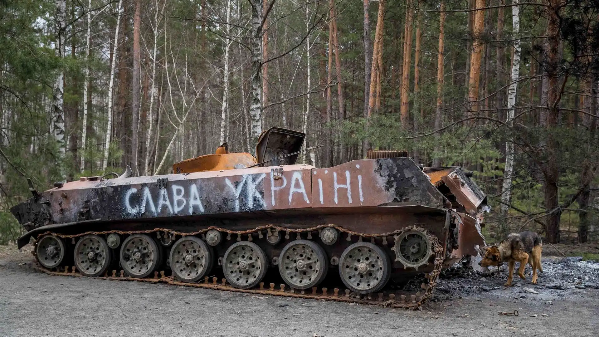 ¿Por qué Rusia pierde tantos tanques en Ucrania? ¿Por qué Rusia pierde tantos tanques en Ucrania?