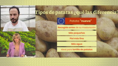 Un agricultor explica los falsos mitos sobre el uso de la patata y desata las críticas
