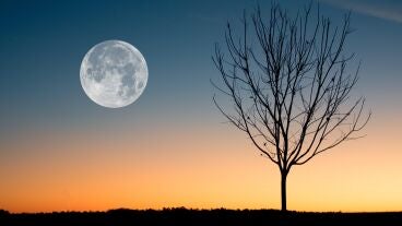 Luna llena