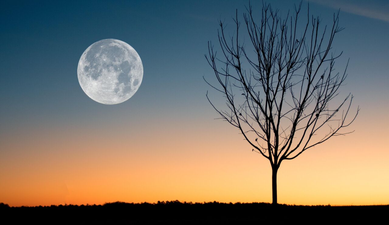 Luna llena