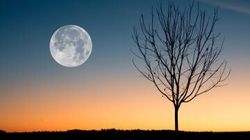 Luna llena
