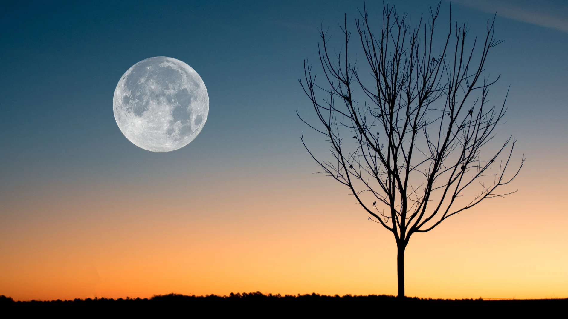 ¿Cuándo habrá luna llena en mayo de 2022?