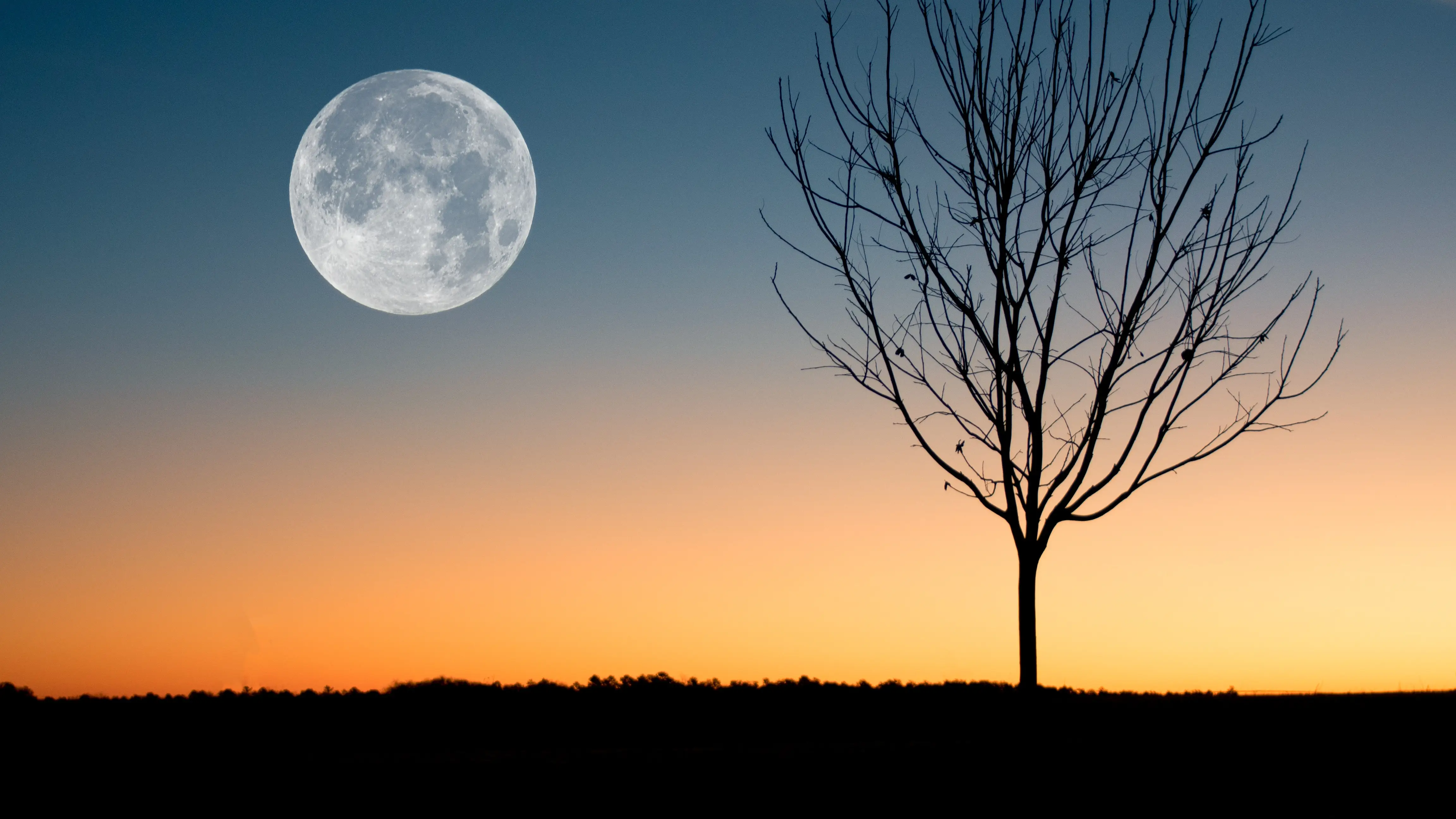 &iquest;Cu&aacute;ndo habr&aacute; luna llena en mayo de 2022?