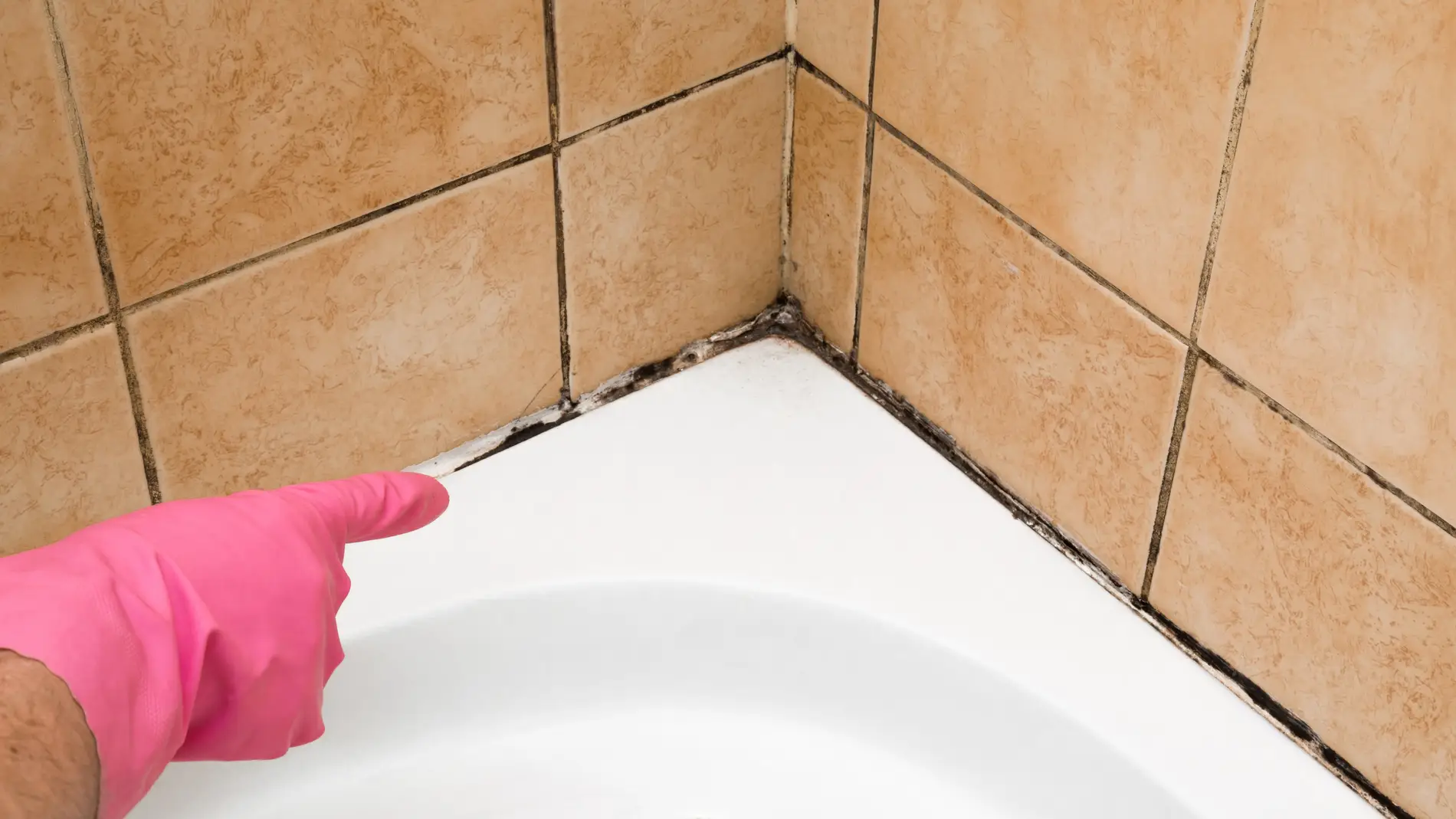 El sencillo truco para limpiar las juntas de las paredes y el suelo sin  esfuerzo (incluso si hay moho)