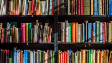 Algunos libros vetados de las bibliotecas de Nueva York durante años ya están disponibles al público