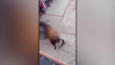 Toro Valladolid Toro Valladolid