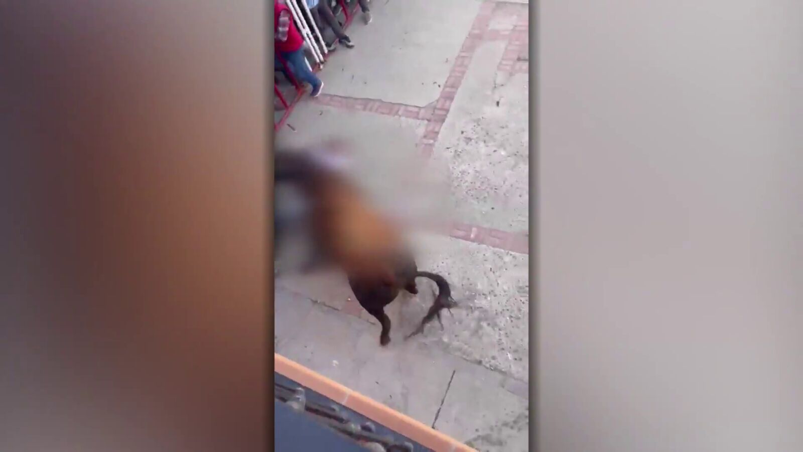 Muere un hombre tras ser corneado por un toro en un encierro en Valladolid