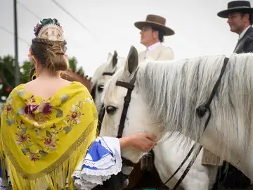 PACMA denuncia la muerte de una caballo explotado en la Feria de Abril de Sevilla PACMA denuncia la muerte de una caballo explotado en la Feria de Abril de Sevilla