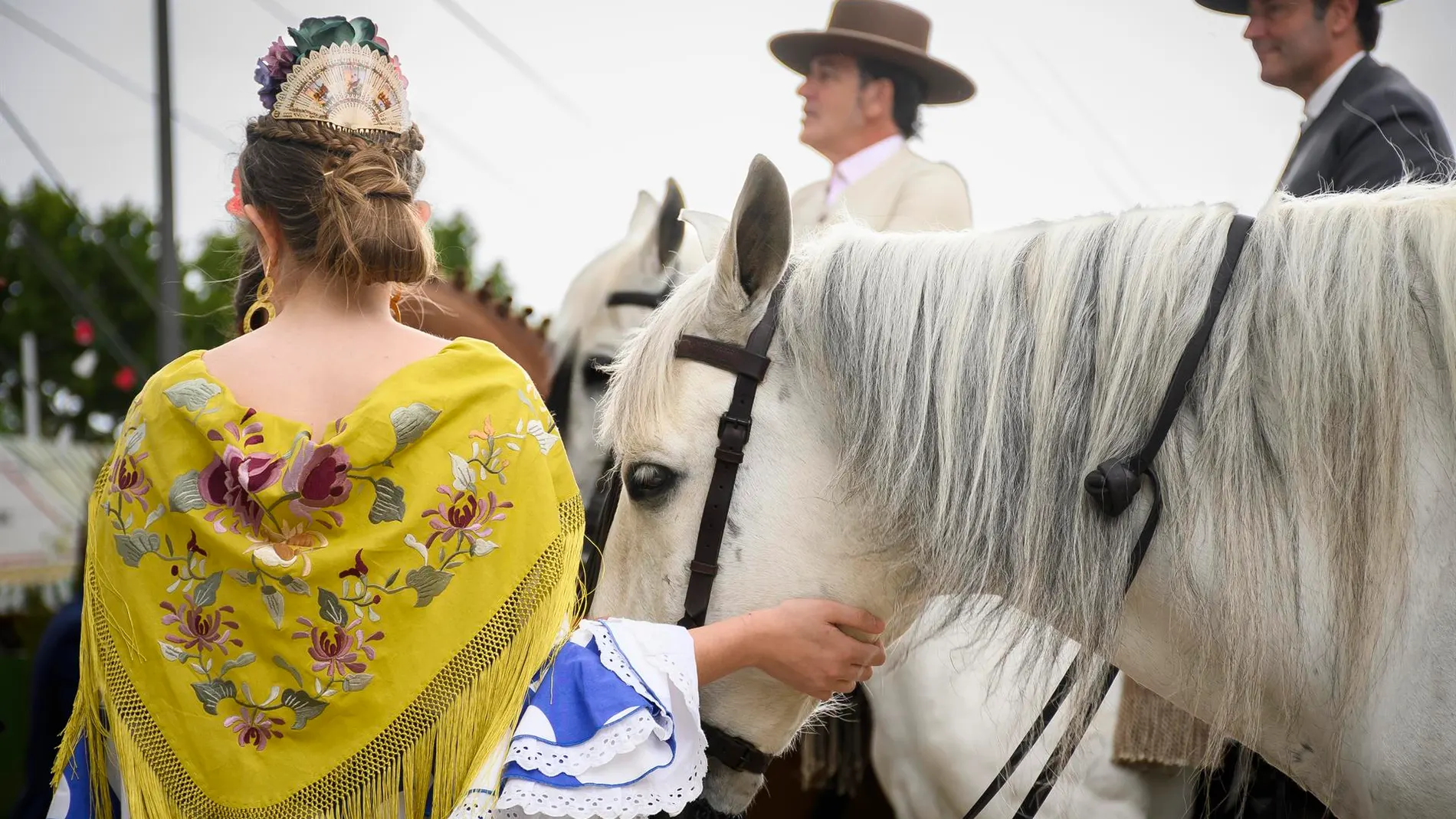 PACMA denuncia la muerte de una caballo explotado en la Feria de Abril de Sevilla