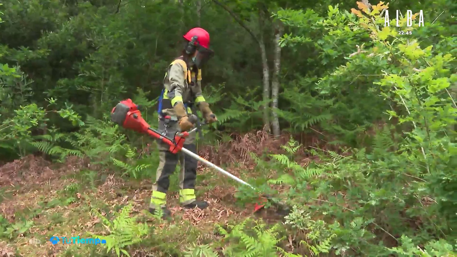 As&iacute; trabajan los bomberos forestales de Galicia para prevenir incendios en la zona