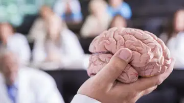 Prototipo de un cerebro humano 