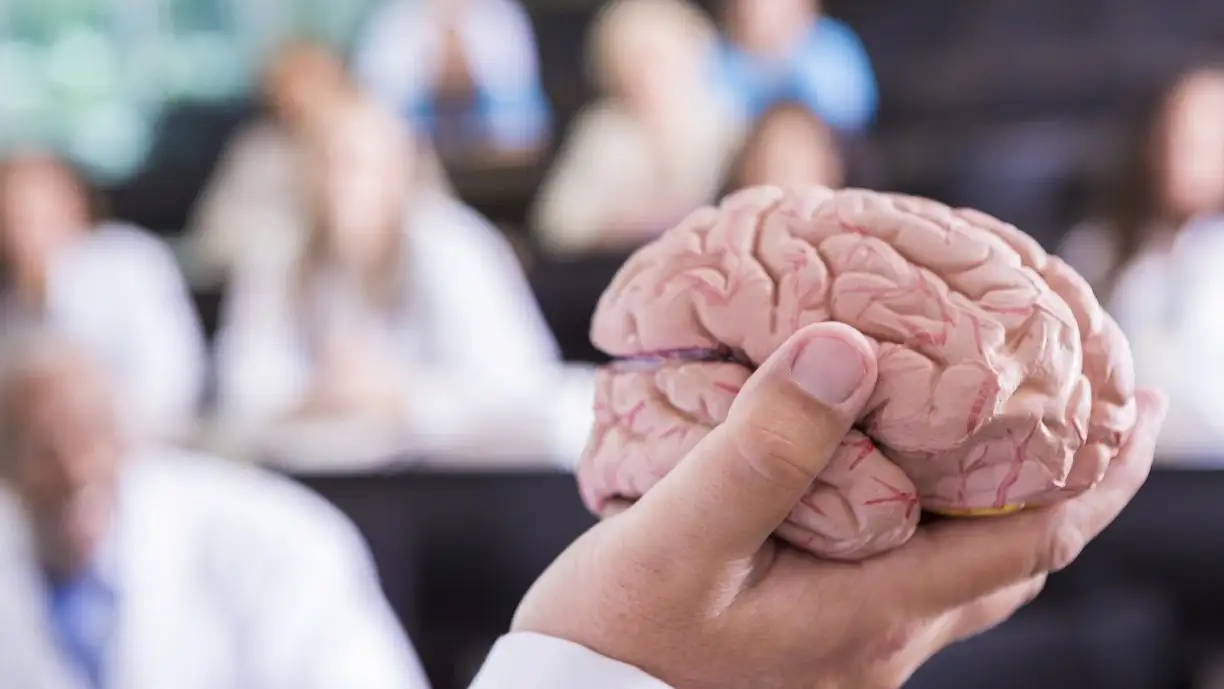 Prototipo de un cerebro humano 