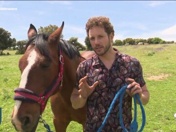 Daniel Diges con un caballo