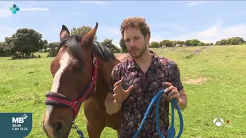 Daniel Diges con un caballo