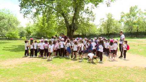 Campamentos de verano Campamentos de verano