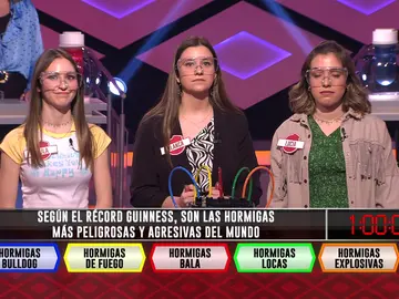 Las hormigas más peligrosas del mundo invaden con su colonia la cuarta bomba de las ‘Supertacañonas’ Las hormigas más peligrosas del mundo invaden con su colonia la cuarta bomba de las ‘Supertacañonas’