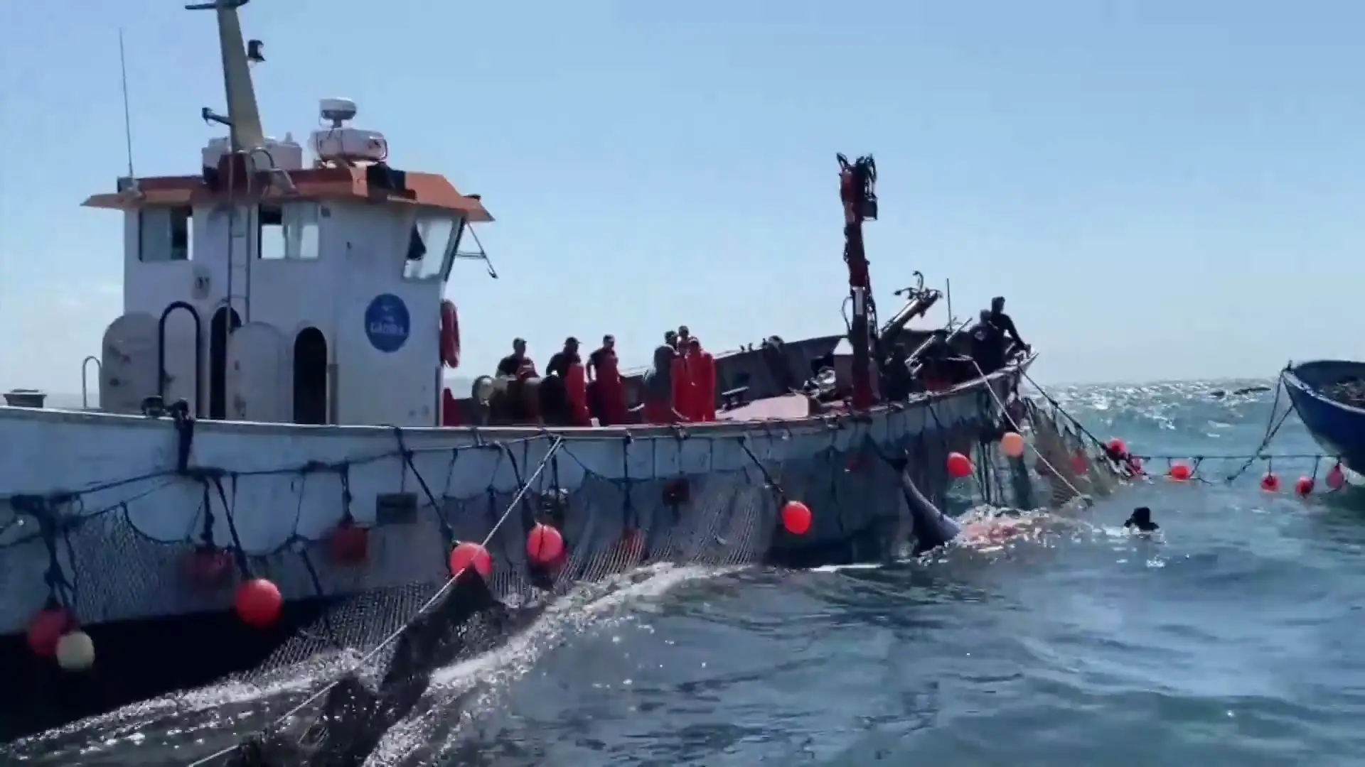 Barco pesquero