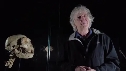 Las vértebras de 'Miguelón' Las vértebras de 'Miguelón'