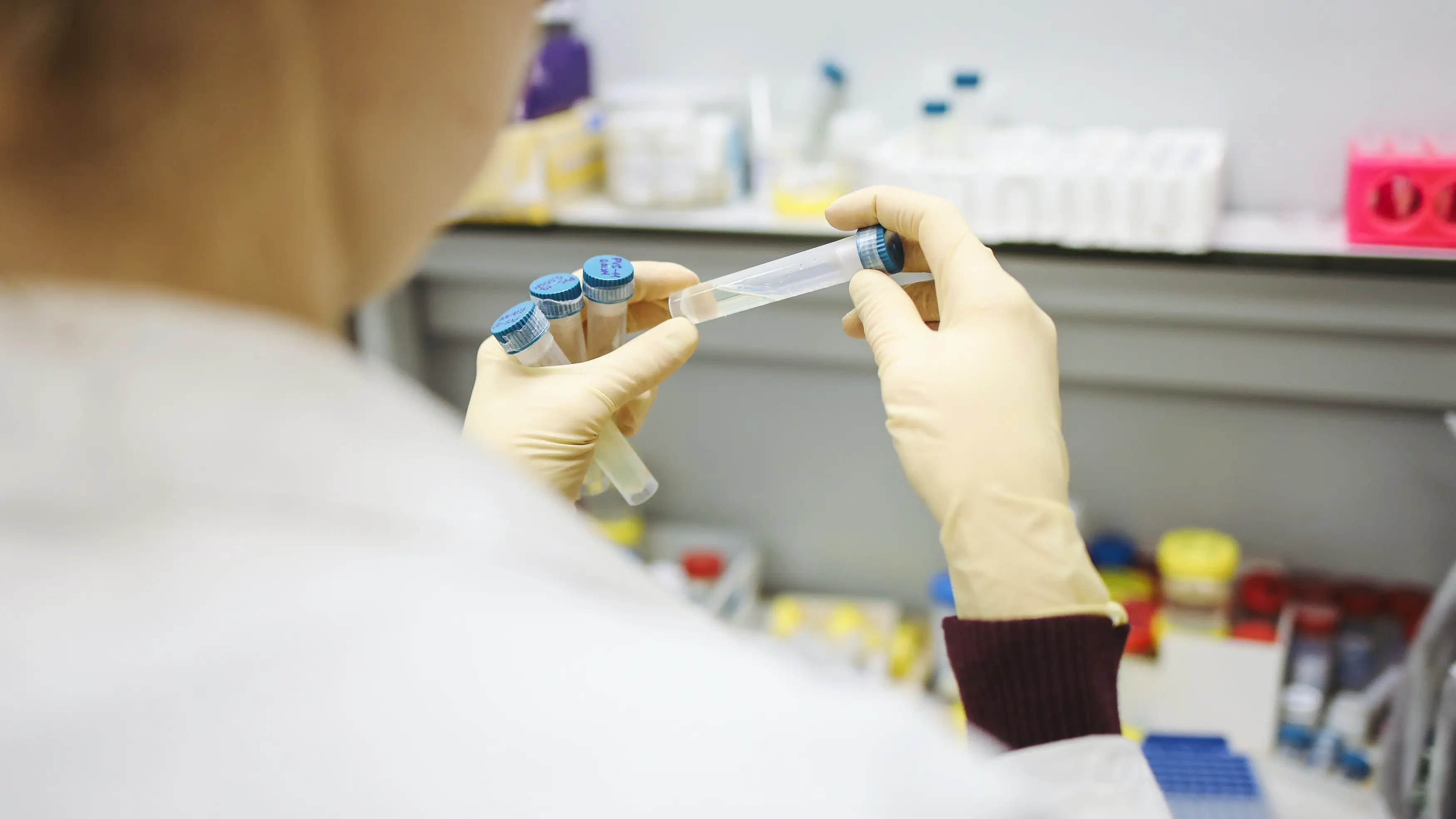 Investigación Investigación
