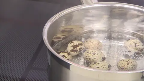 Cuece los huevos Cuece los huevos