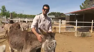 La experiencia de Miguel Ángel Muñoz con un burro: "Estuve a punto de perder un dedo en el rodaje"