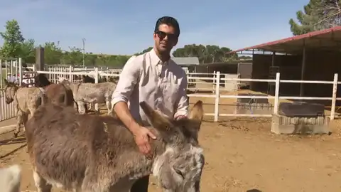La experiencia de Miguel Ángel Muñoz con un burro: "Estuve a punto de perder un dedo en el rodaje" La experiencia de Miguel Ángel Muñoz con un burro: "Estuve a punto de perder un dedo en el rodaje"