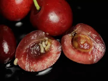 Gusano en la fruta Gusano en la fruta