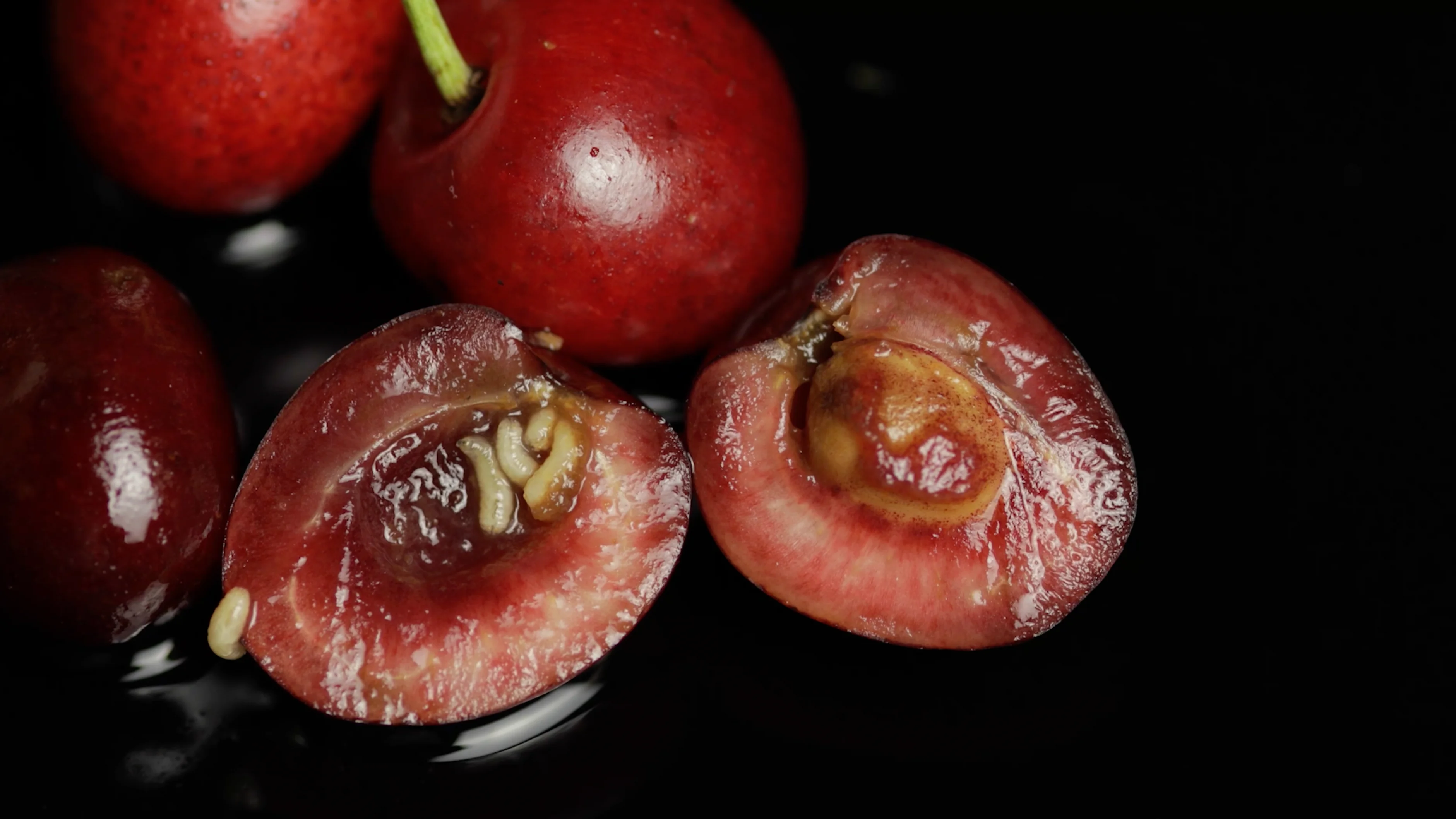Gusano en la fruta