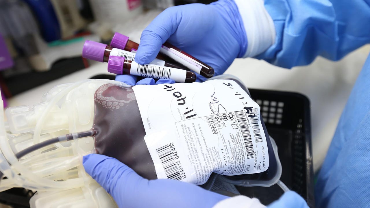 Estes são os países que mais doam sangue em 2022