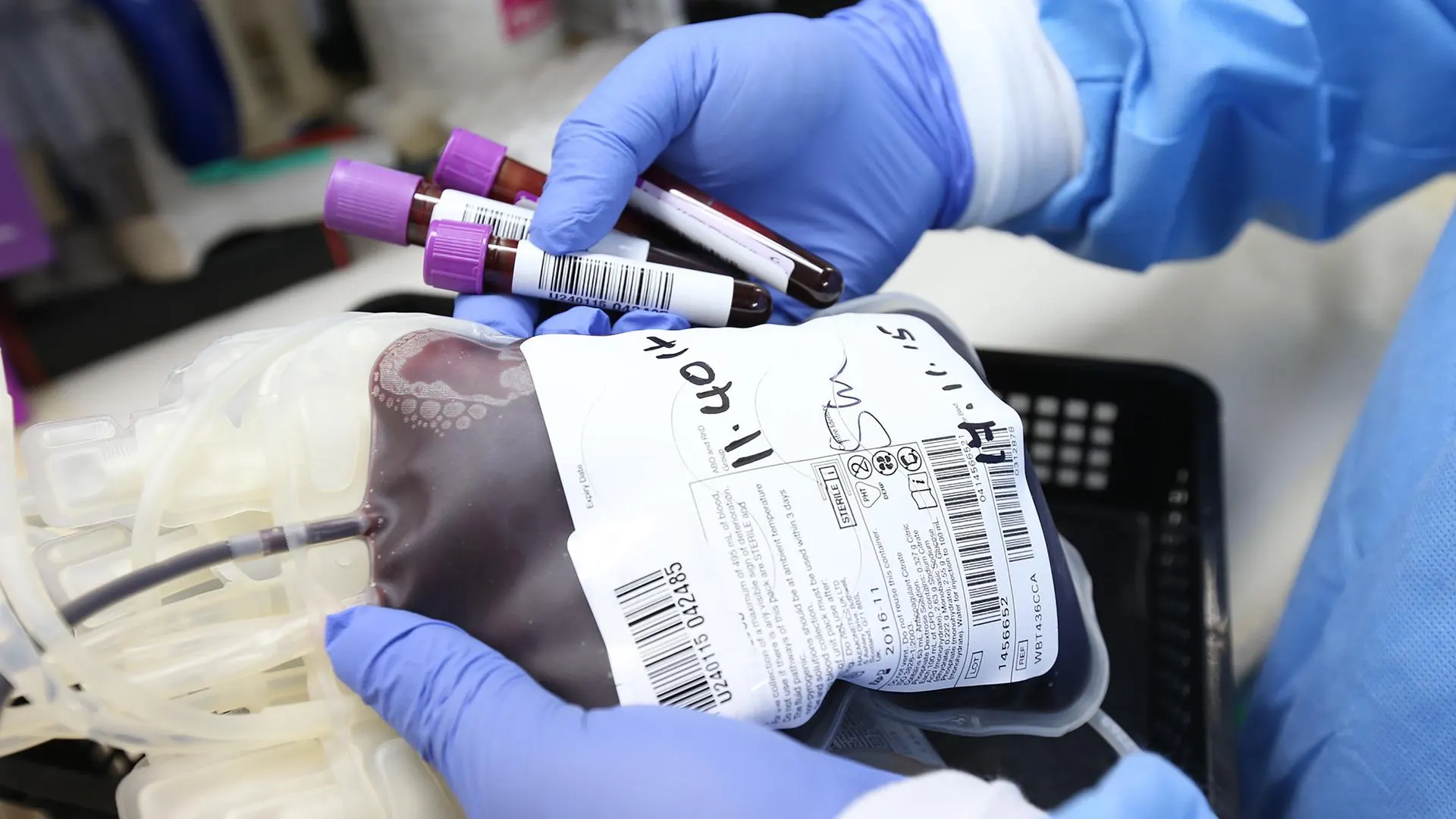 Día del Donante de Sangre Día del Donante de Sangre