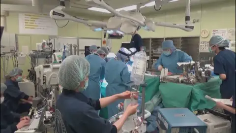 Trasplante de hígado Trasplante de hígado