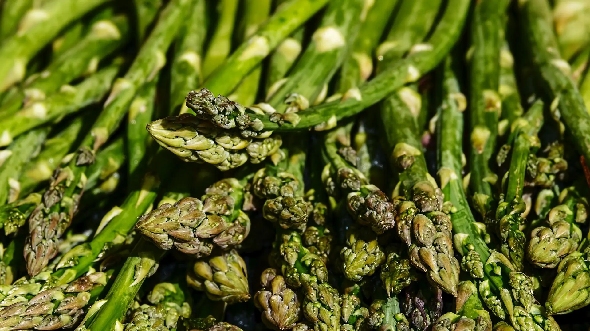 &iexcl;Es temporada de esp&aacute;rragos! 10 recetas de Argui&ntilde;ano que tienes que conocer