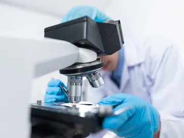 Laboratorio. Laboratorio.
